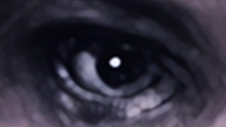 Hollowbody banner