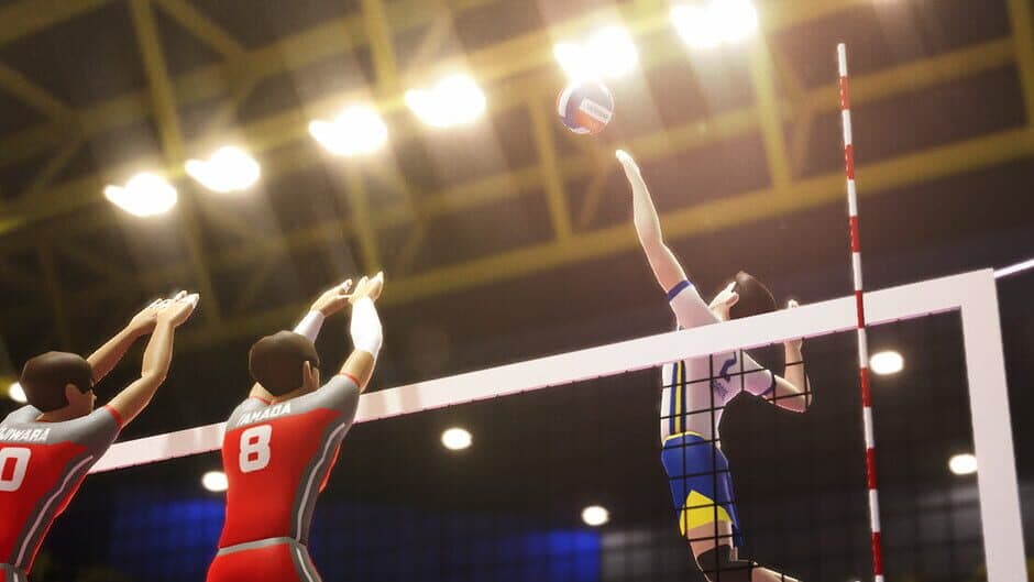 Killer Aces Volleyball banner
