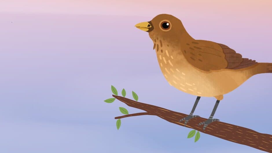 The Birdsong Tree banner