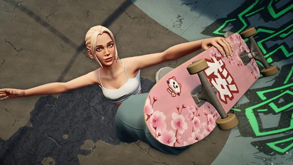 Skatesterre banner