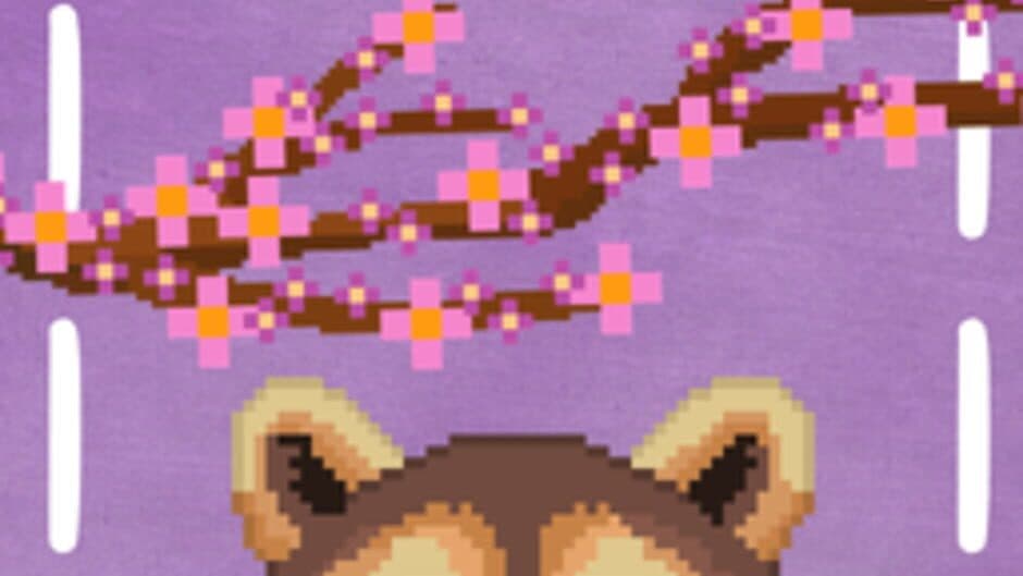Hidden Raccoons in Asia banner