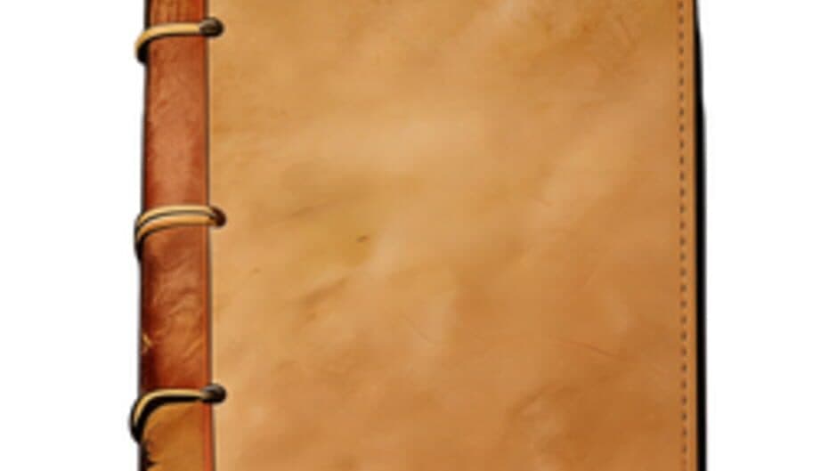 Chinese Newcomer banner