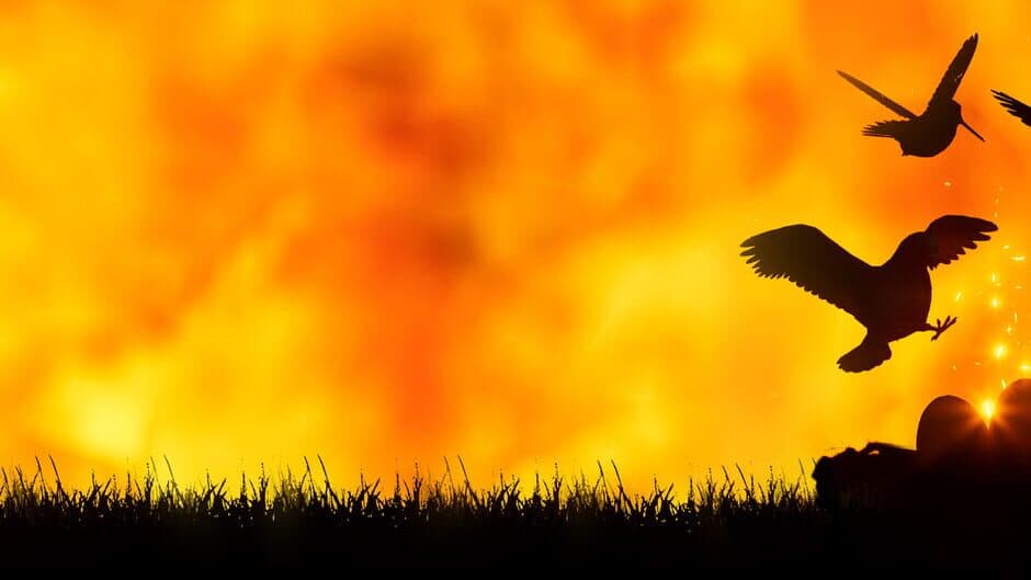 Bird Game 3 banner