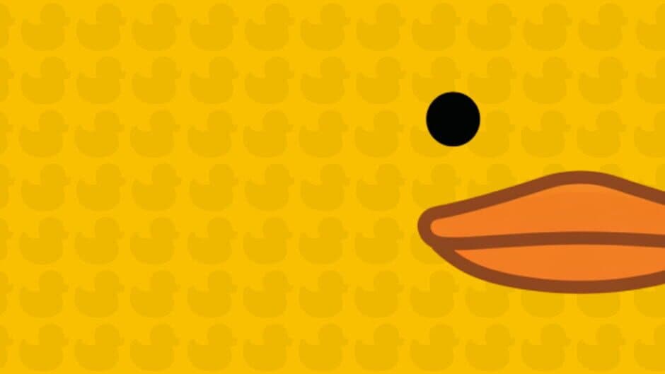 Sort Them Ducks banner