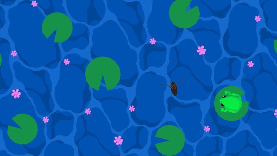 Focus Froggy banner