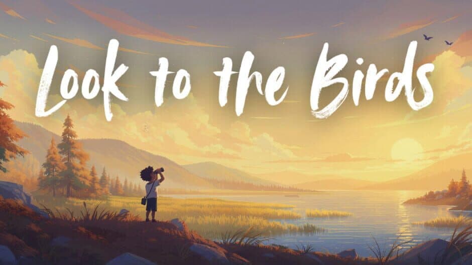 Look to the Birds banner