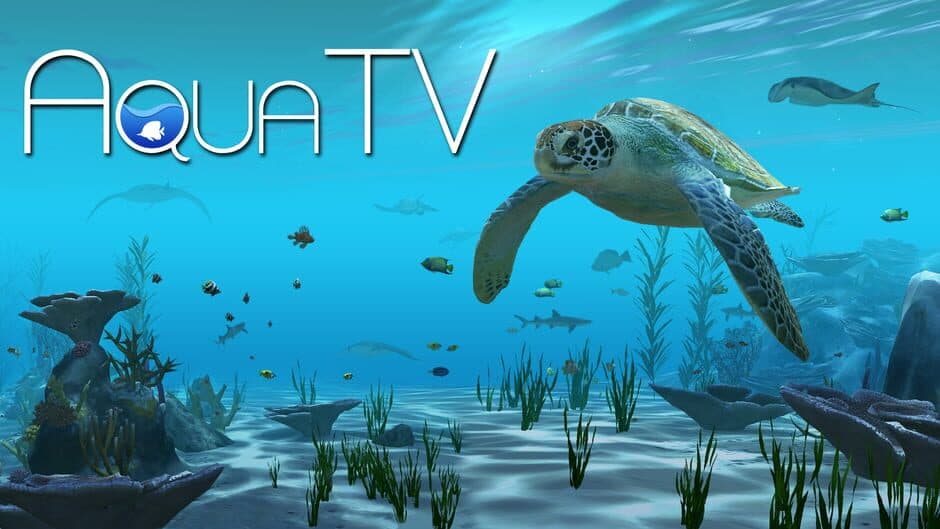 Aqua TV banner