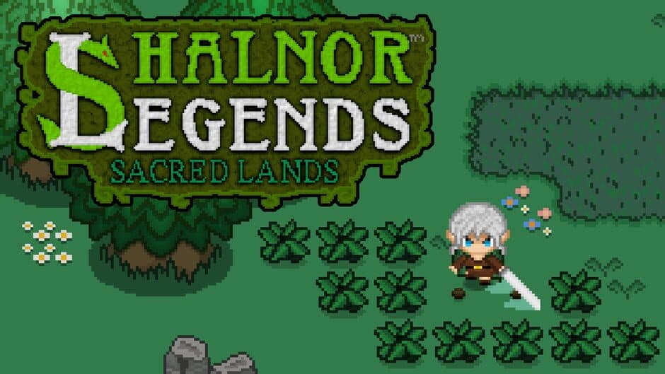 Shalnor Legends: Sacred Lands banner