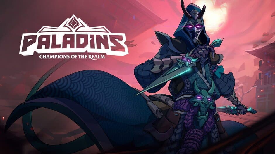 Paladins banner
