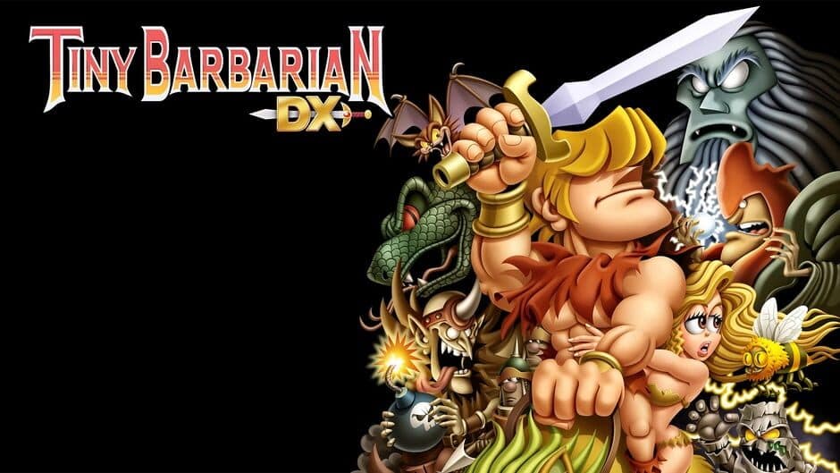 Tiny Barbarian DX banner
