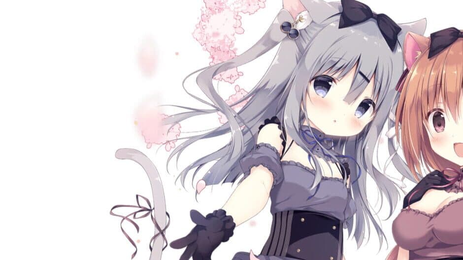 Amairo Chocolate banner