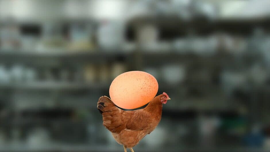 Egg Is Broken. Heart Is Too. banner