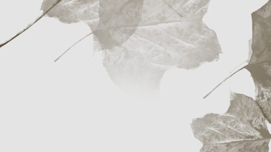 Gone In November banner