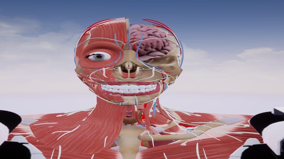 Shot the Body banner