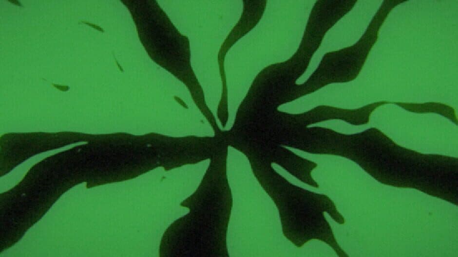 Familiar Travels: Volume One banner