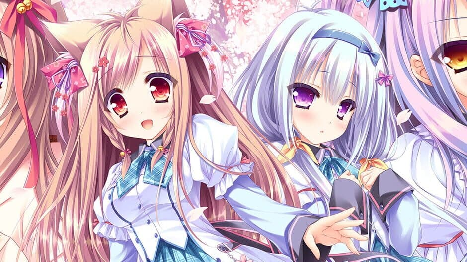 Tayutama 2: You're the only one banner