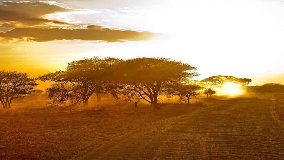 Survival Africa banner