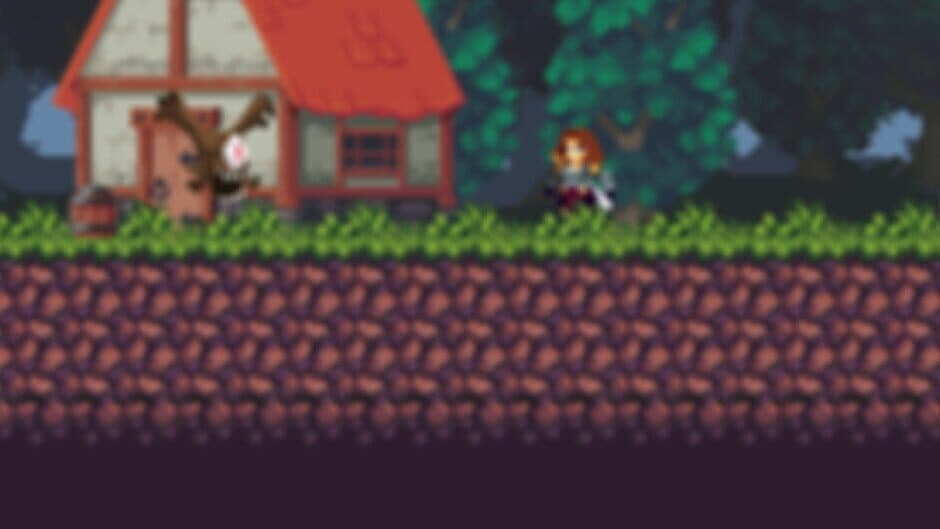 Village Defender banner