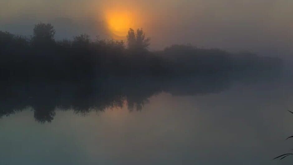 theFisher Online banner