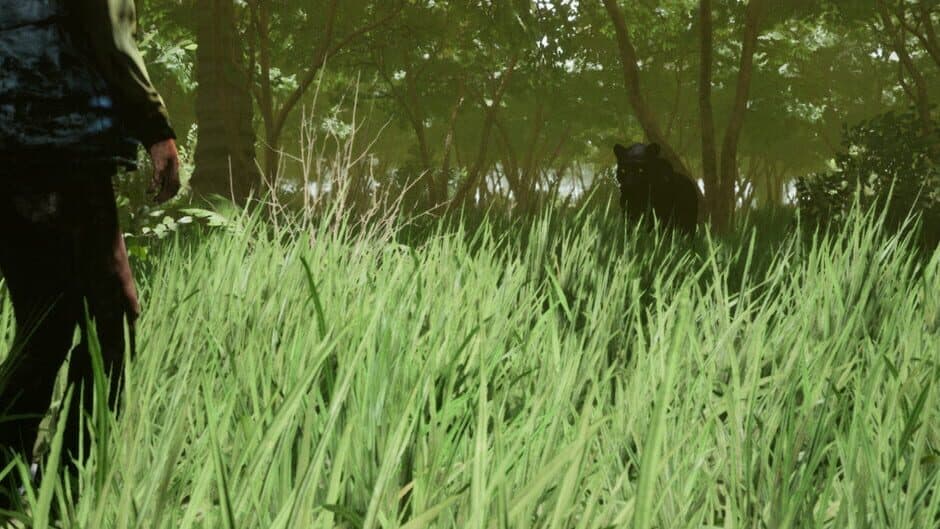 The Sole Survivor banner