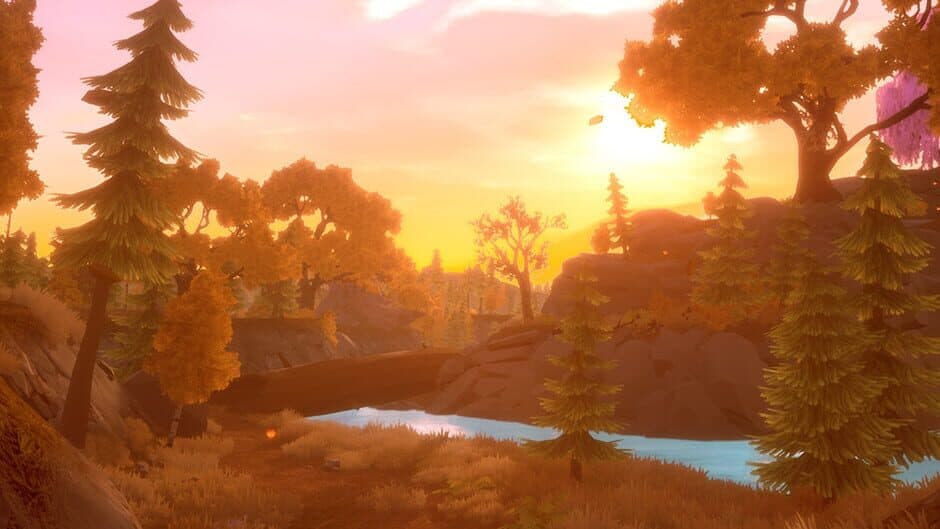 Paws and Soul banner