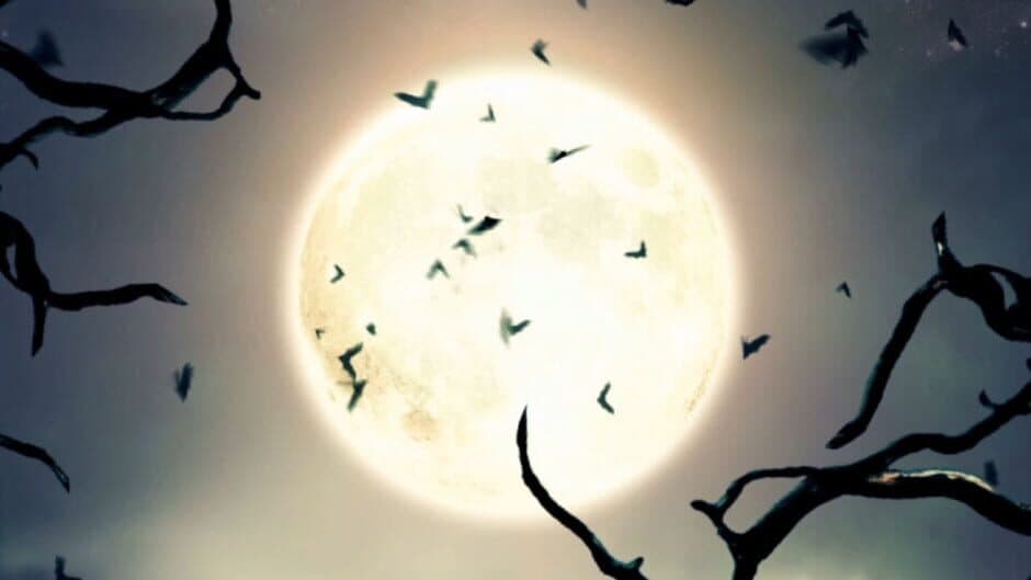 Vampires Dawn 3: The Crimson Realm banner