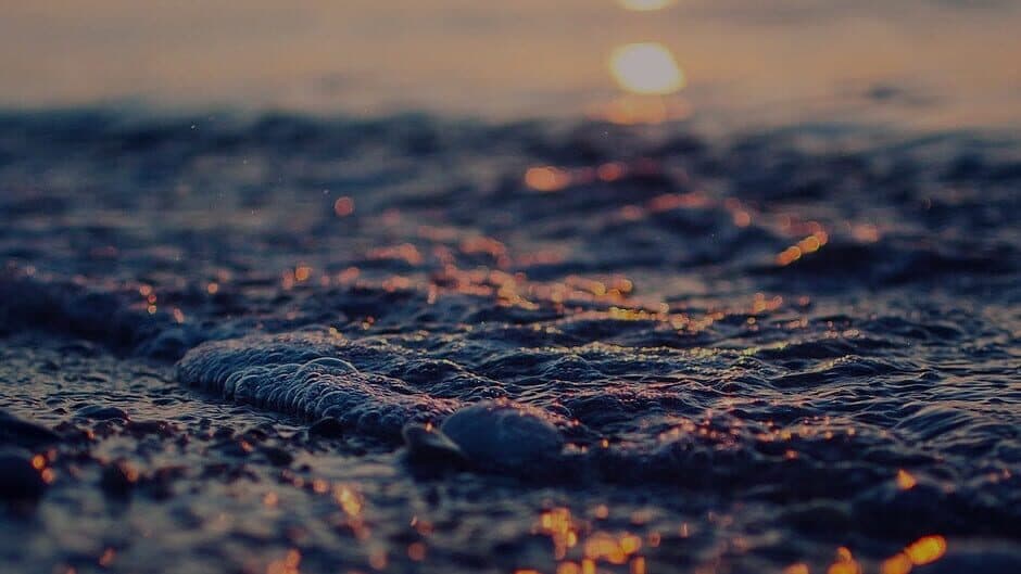 CW: Chaco War banner