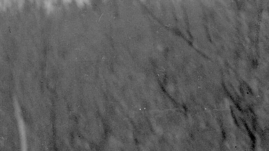 Horror Movie Bingo banner