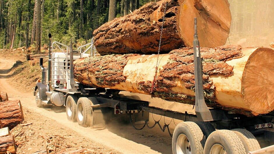 Woodcutter Simulator 2013 banner