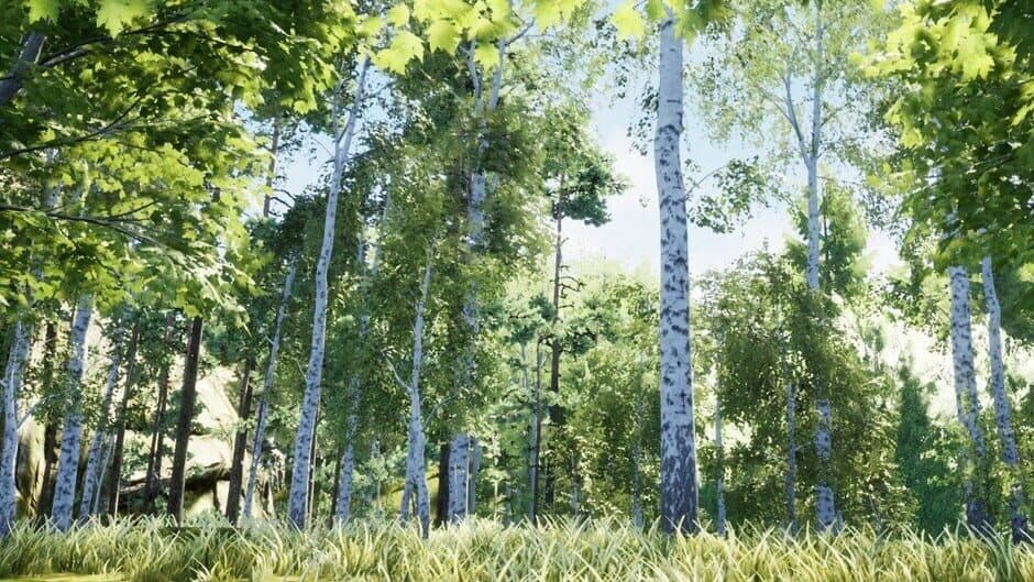 Nature Hunter banner