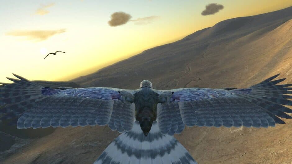 Aquila Bird Flight Simulator banner