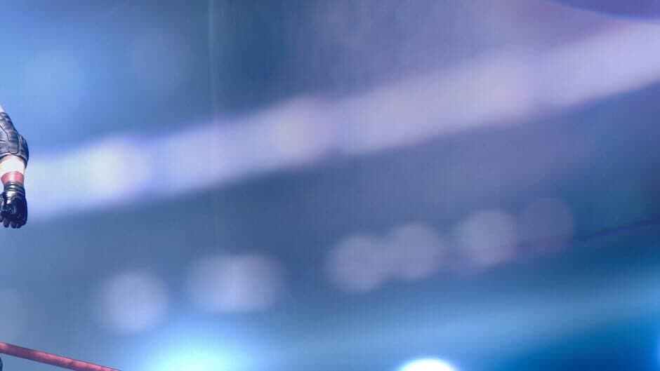 Pro Wrestling X banner