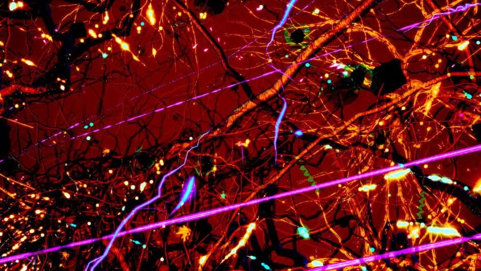 Secrets of Soil banner