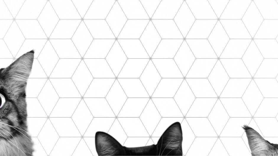 Super Web Kittens: Act I banner