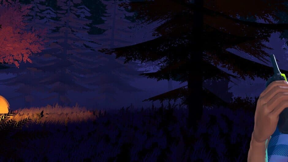 Lost Brothers banner