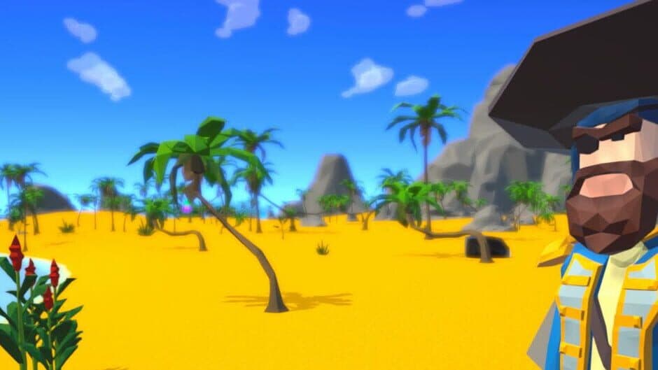 Chaos Theory Pirates banner