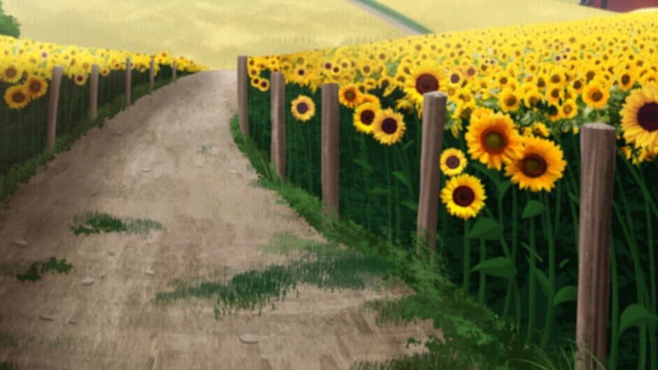 Sunflower banner