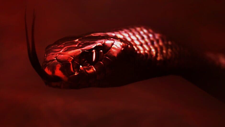 Don't Let Go! banner