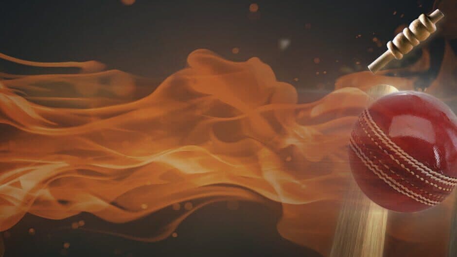 Ashes Cricket banner