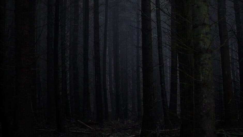 Nightmare Zone banner