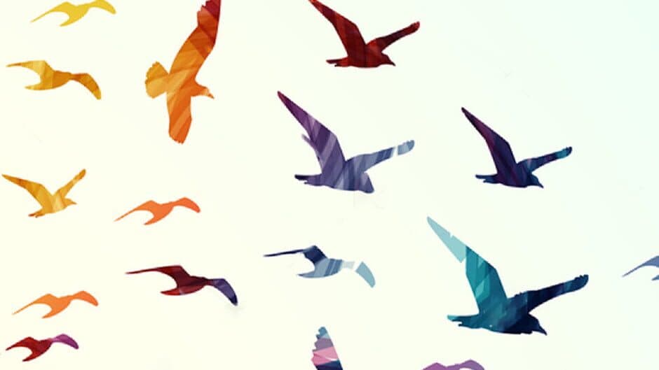 Chasing the wind banner