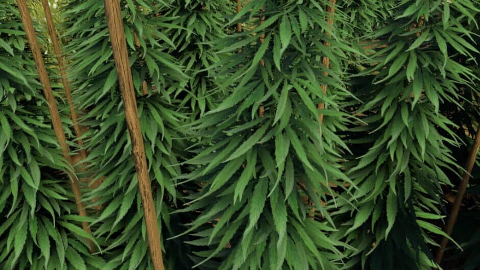 Weed Farmer Simulator banner