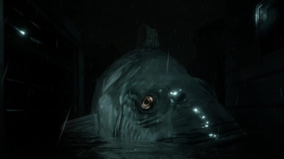 The Tide Intro banner