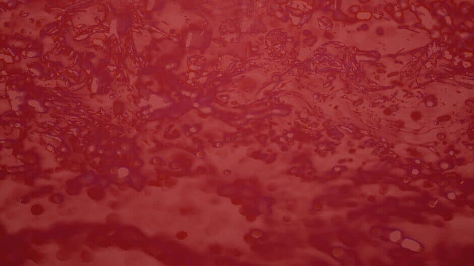 Gil's Lucid Dreams banner