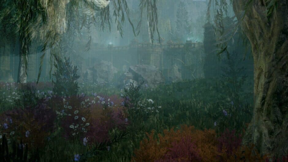 Nephise: Ascension banner