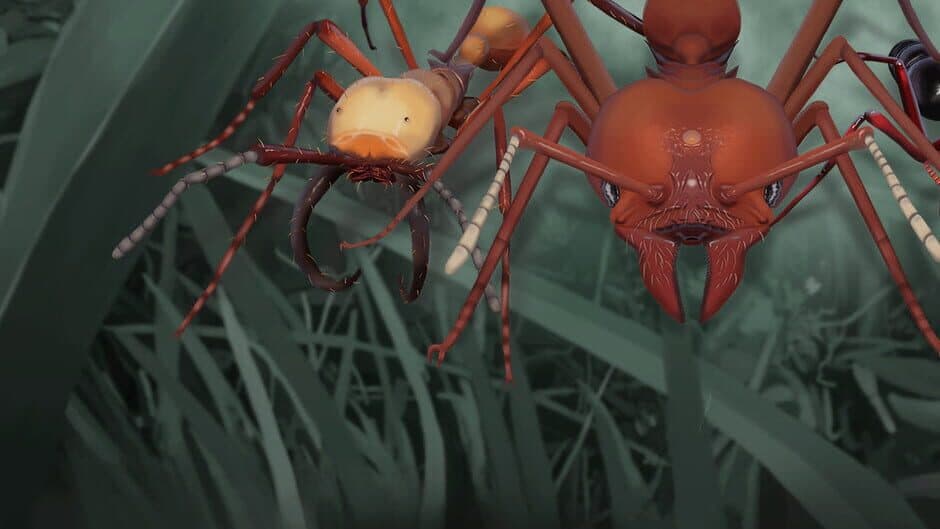 Empires of the Undergrowth banner