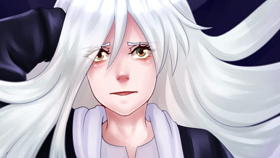 Image of Perfection banner