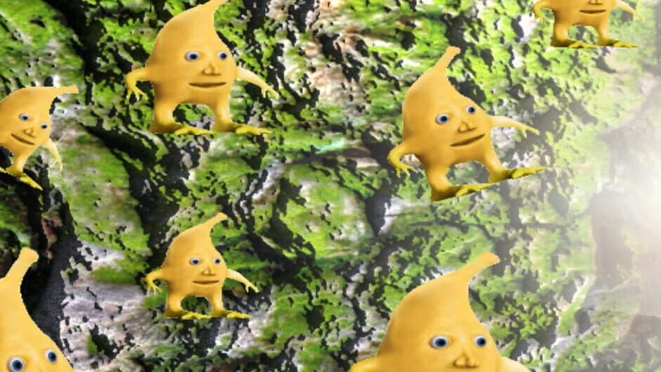 12 Bananas banner