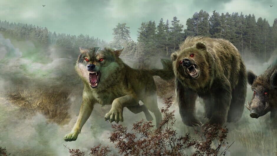 The Wild Case banner