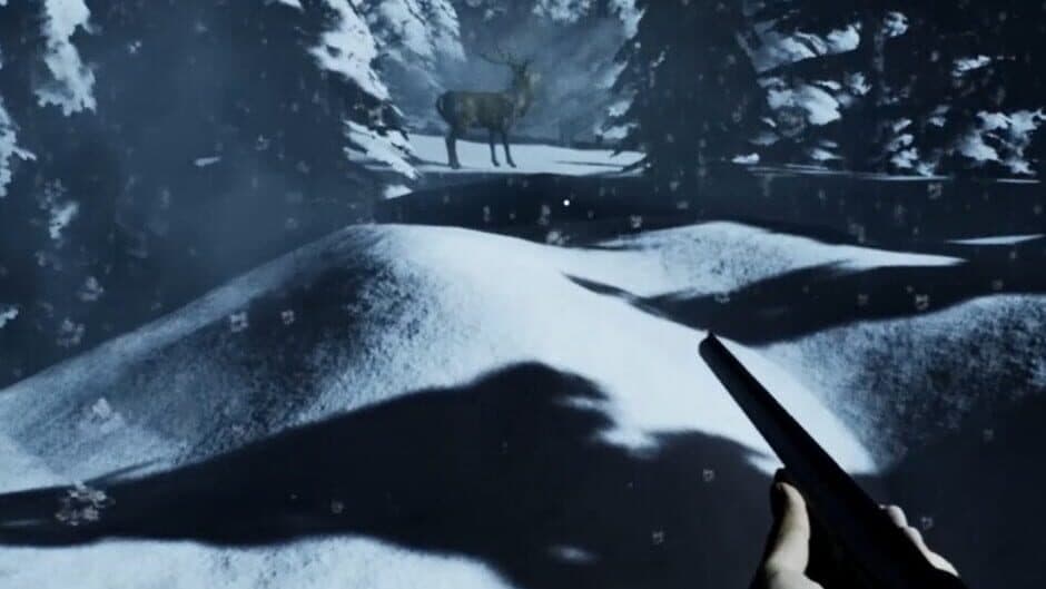 Tailypo: The Game banner